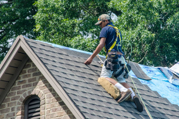 Best Storm Damage Roof Repair  in Naco, AZ